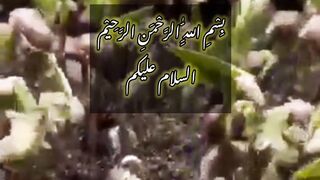 Allah ka iblees ko sajda karne ka hukum q diya | History Of Islam| #islam