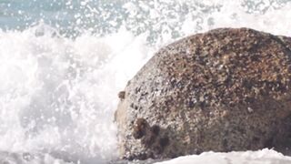 Waves