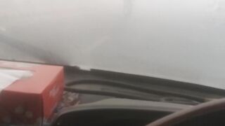Fog check