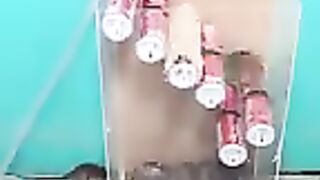 Best mouse trap idear the