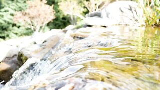 Water flowing down the rocks of a river in nature - adalinetv