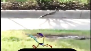 الطائر الذي أصبح بطلا في الرسوم المتحركة