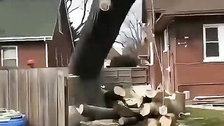 Save animals