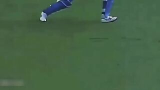 FLYING CATCHING