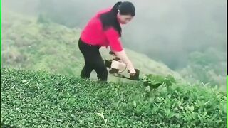 Lift Machine