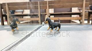 How beautiful this is