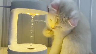 Anti-Gravity Humidifier