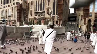 لَــنَا بالله ظــنٌّ لَا يَــخِـيـبُ