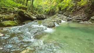 beautiful video