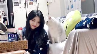 The joy of owning a cat