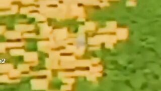 Villager kok