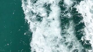 Beautiful ???? wives