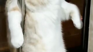 Gyan Ki Baate Funny Video