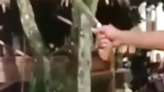 Thugs Wrong Prey, Thought Ustadz Is Cupu, Turns Out He's Knowledgeable #shortvideo