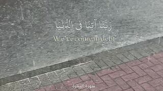 The raining day