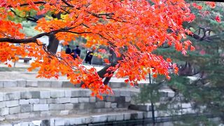 Beauty of nature