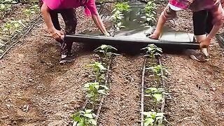 Let's learn something new about farming!