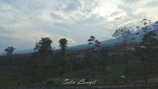 Twinlight