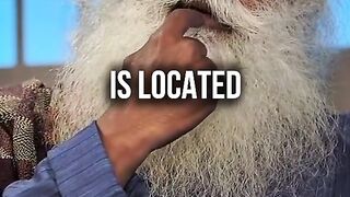 motivation | motivation shorts video | Motivational shorts video | motivationdaily | Shorts videos | Trending | viral #motivation #shorts