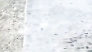 This video is amazing