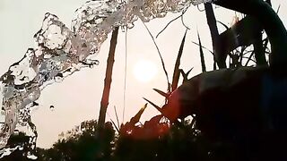Water fall