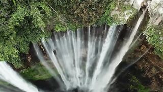 beauty of nature