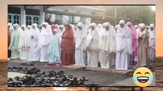 Latest funny videos 2024