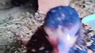 Blue birds