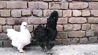 Kjgffdddgjk