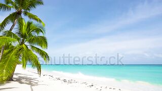 Beautiful sea in the summer