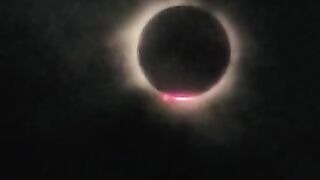 My daughter told me I was a bit much during the eclipse..