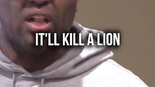 motivation | motivation shorts video | Motivational shorts video | motivationdaily | Shorts videos | Trending | viral #motivation #shorts