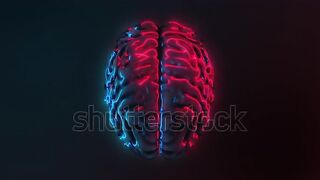 videohuman brine