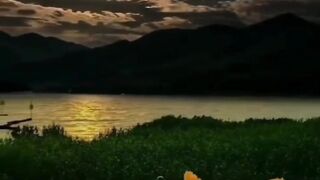 Nature In The World 3