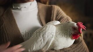 احببته