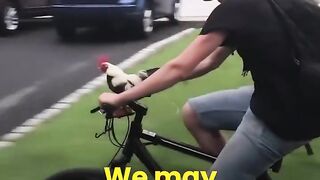 Sponsored  Are animals a part of you?