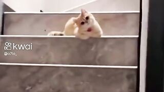 ????????????????????????