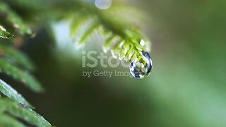 قطرة ماء
