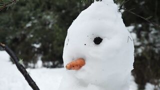 Snow man