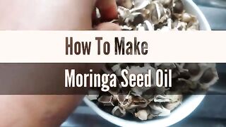 L'huile de Moringa