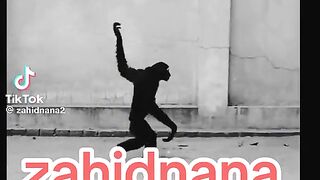 Funny video