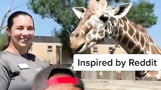 Animal Secrets Zoos Don’t Want You To Know