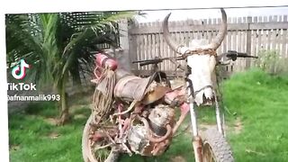 Funny video