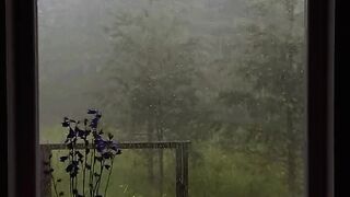 Short video song