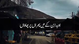 ????❤_@Ashi_312_#abdullahmahar????_#nusrat_fateh_ali_khan_fans♥️__._.__._._#nfakstatus_#nusratfatehalikhan_#nfak_#nfakline.