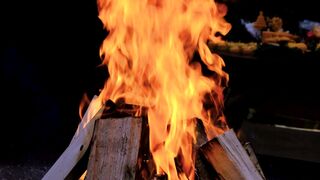 fire wood slow emotion. badis
