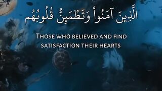Quran # #quran #trending #viral #shahzor #shorts #fespot # iNFO