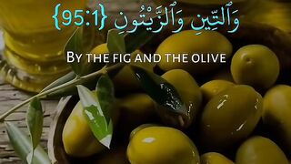 Quran # #quran #trending #viral #shahzor #shorts #fespot # iNFO