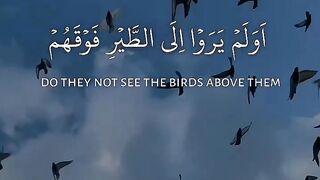 Quran # #quran #trending #viral #shahzor #shorts #fespot # iNFO