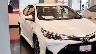 Car lover
